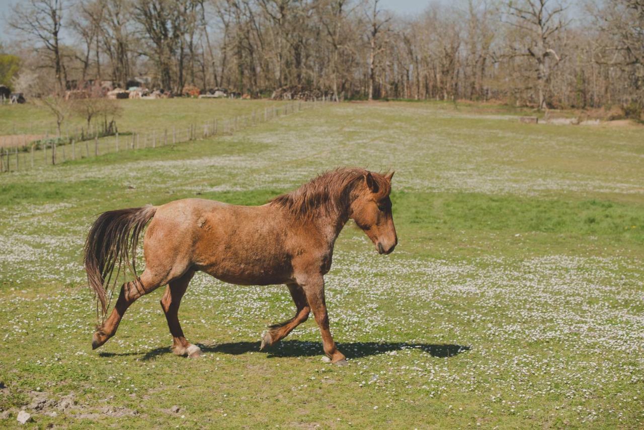 La Ferme De Bousserand Pontours 외부 사진